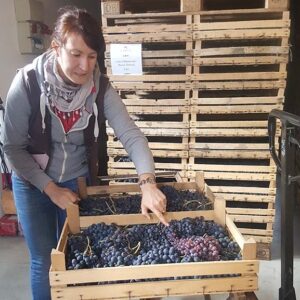 Amarone Experience