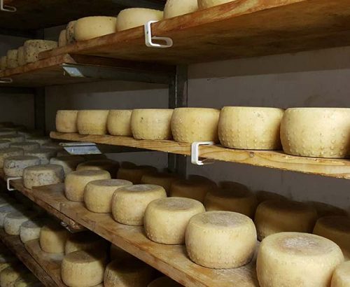 Artisanal Cheese Visit and Tasting