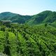 Prosecco Adventure