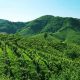 Prosecco Adventure