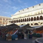 Aprons & Art in Padova