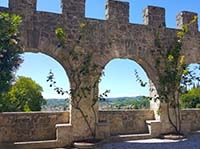 Vineyards & Castles