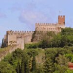 Vineyards and Olive Oil